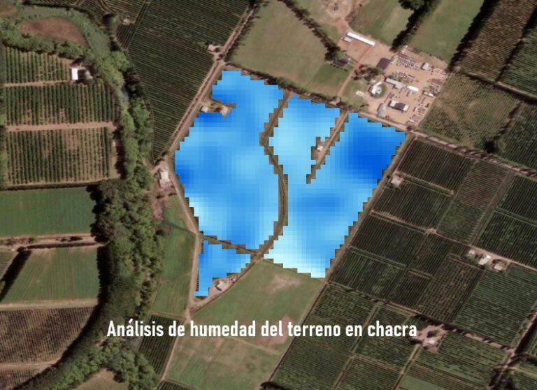 humedad