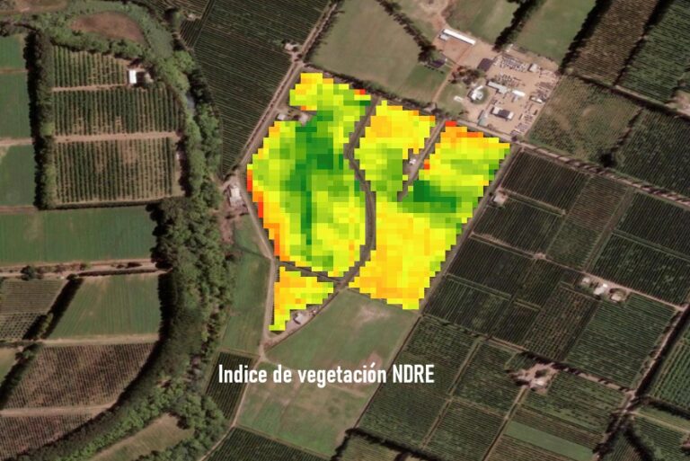 indice vegetación